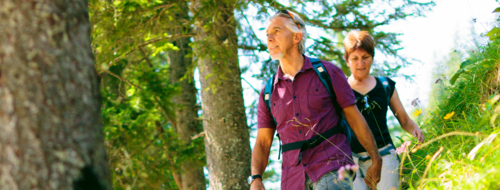 2 Personen am Wandern im Wald